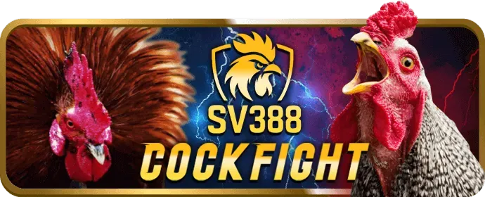 Đội ngũ hỗ trợ chuyên nghiệp của Win 68